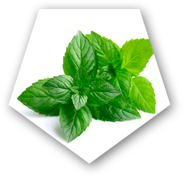 Detoxyn Pepper mint